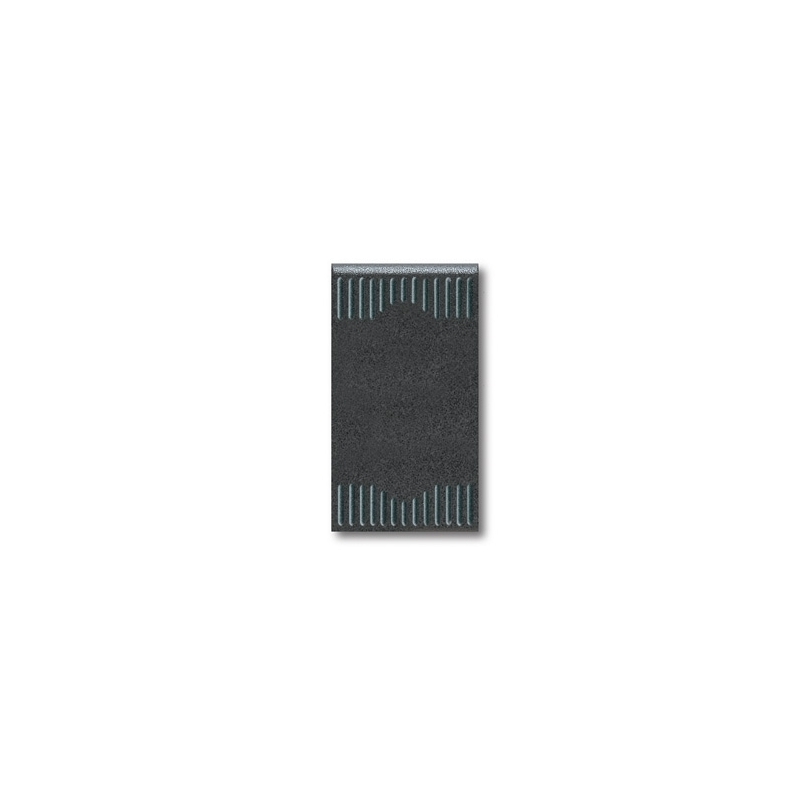 AVE45304