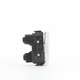 BTINT4003N