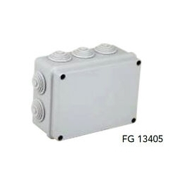 FG13405