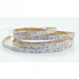 Strisce Led 3014 100W 840SMD 6MM Slim Strip Luminosa 5M 24 Volt Bianco Caldo 1692