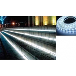 strip striscia led smd 5050 72w 12V ip65 luce fredda 6000°k stagna elt011