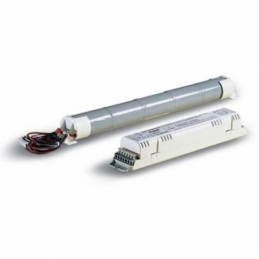 beghelli alimentatore elettronico elettrinv 834/18-58 4.8 sa beghelli 8348
